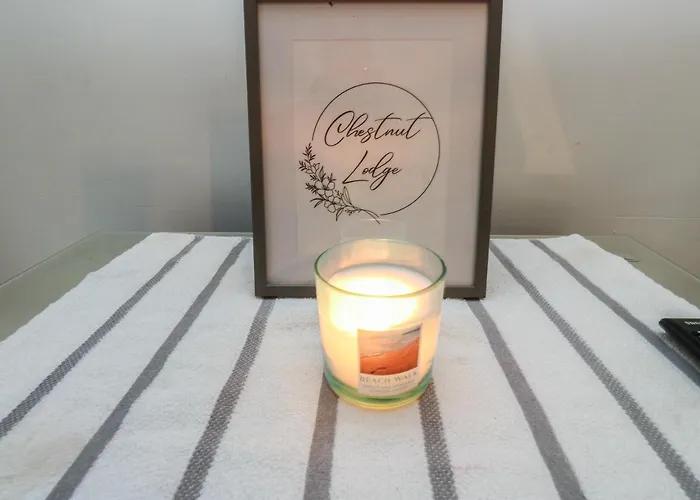 Chestnut * בראדפורד